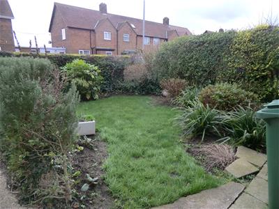 Picture 14